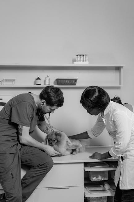 Giải pháp đánh giá đại lý thuốc thú y tại tphcm