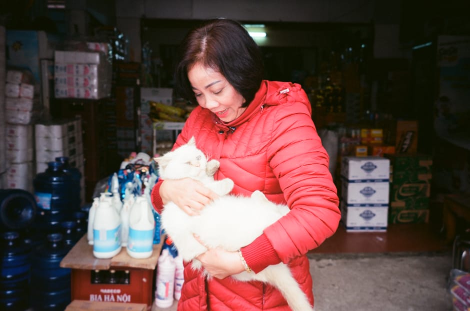 Thú y điều trị thiết kế thi công pet shop trọn gói giá 