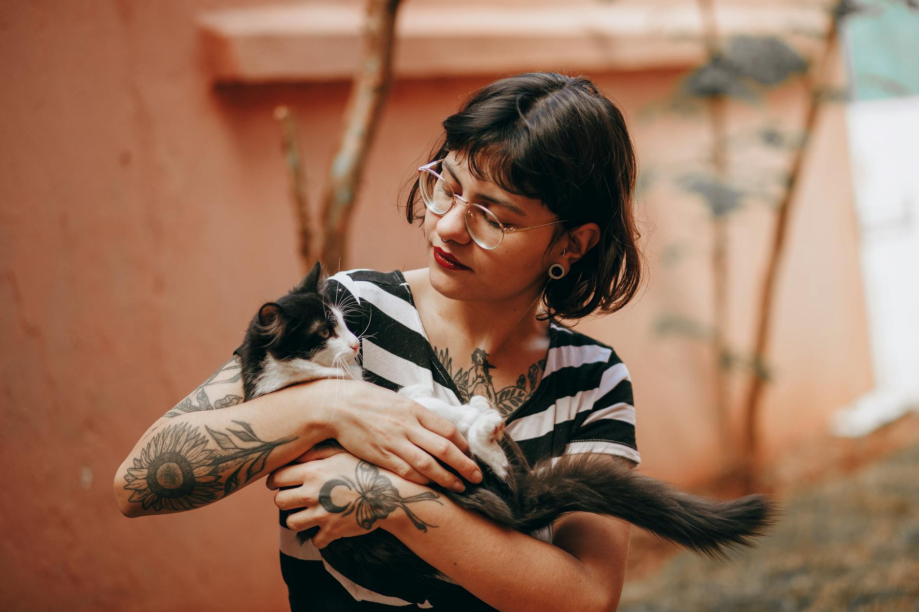 chó bị xà mâu (ghẻ demodex) mãn tính