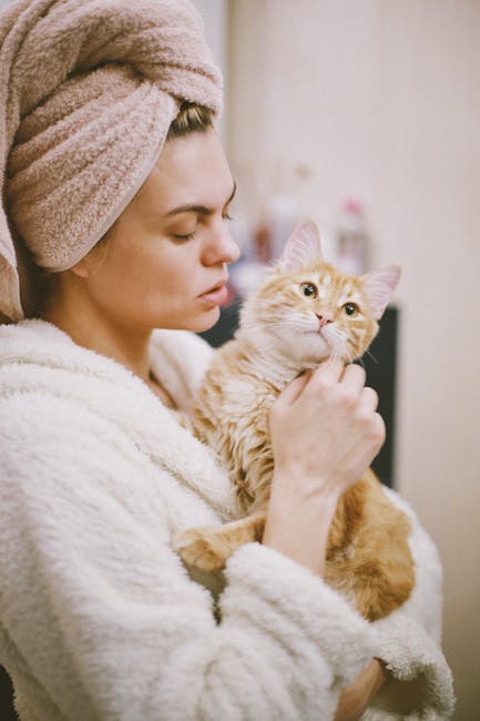 Giải pháp setup spa grooming uy tín