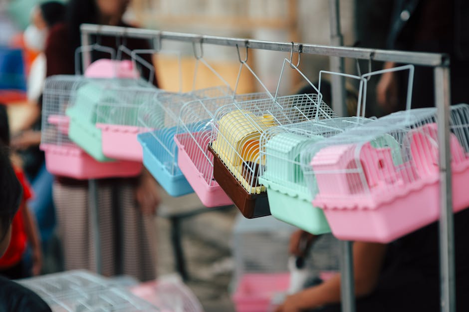 Mô hình mở pet shop lấy hàng ở đâu