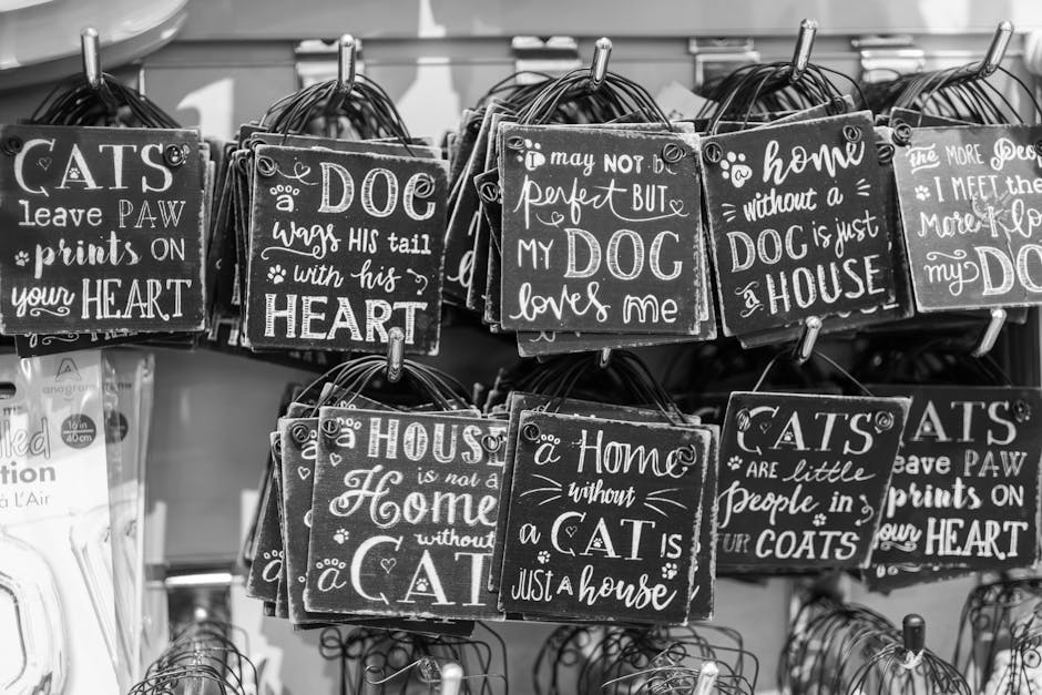 Giải pháp mở pet shop lấy hàng ở đâu