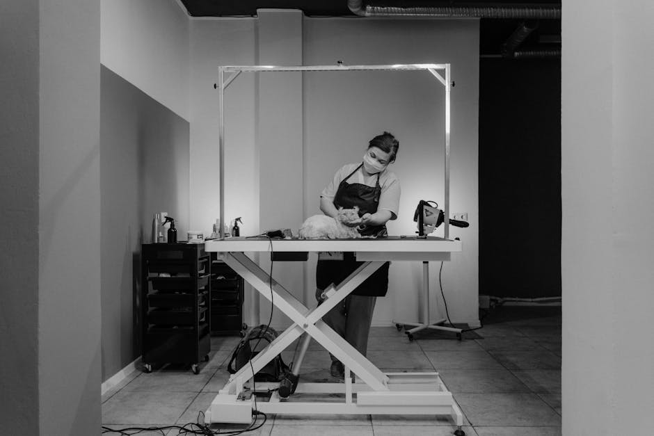 Mô hình thiết kế spa thú cưng diện tích nhỏ uy t
