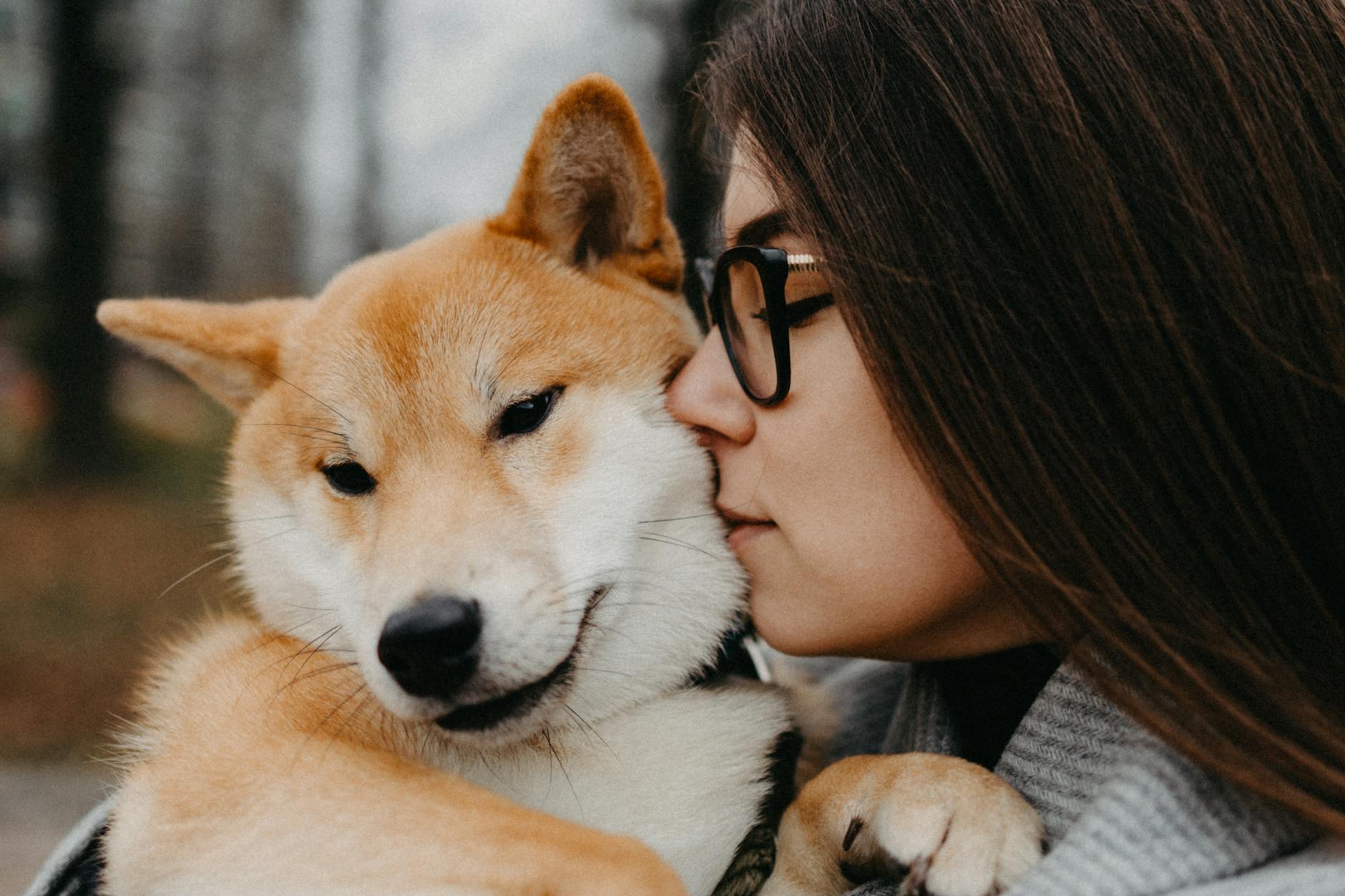 làm sao dắt chó đi dạo không bị cắn nhau với chó khác TPHCM