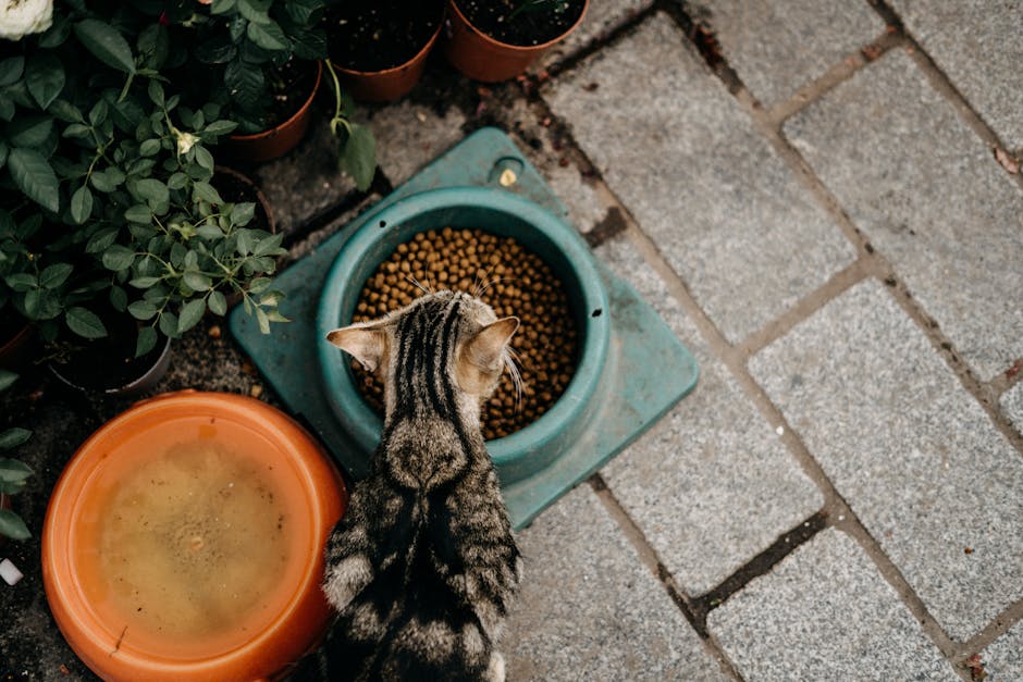 Giải pháp đánh giá cách tăng doanh thu phòng khám 