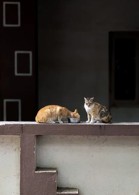 Mô hình chương trình khuyến mãi pet shop tại tph