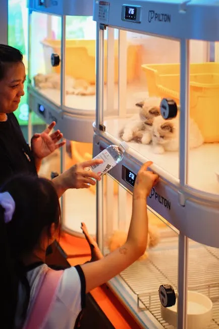 Mô hình chương trình khuyến mãi pet shop tháng n