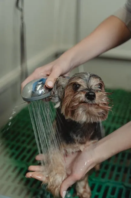 Mô hình chiến lược thu hút khách hàng spa chó mè