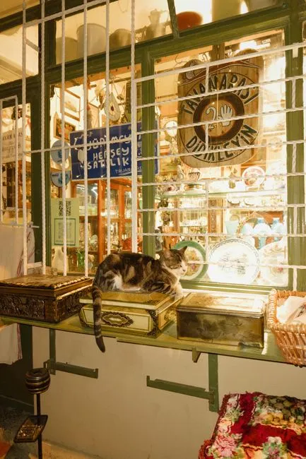 Mô hình hệ thống pos cho pet shop lấy sỉ