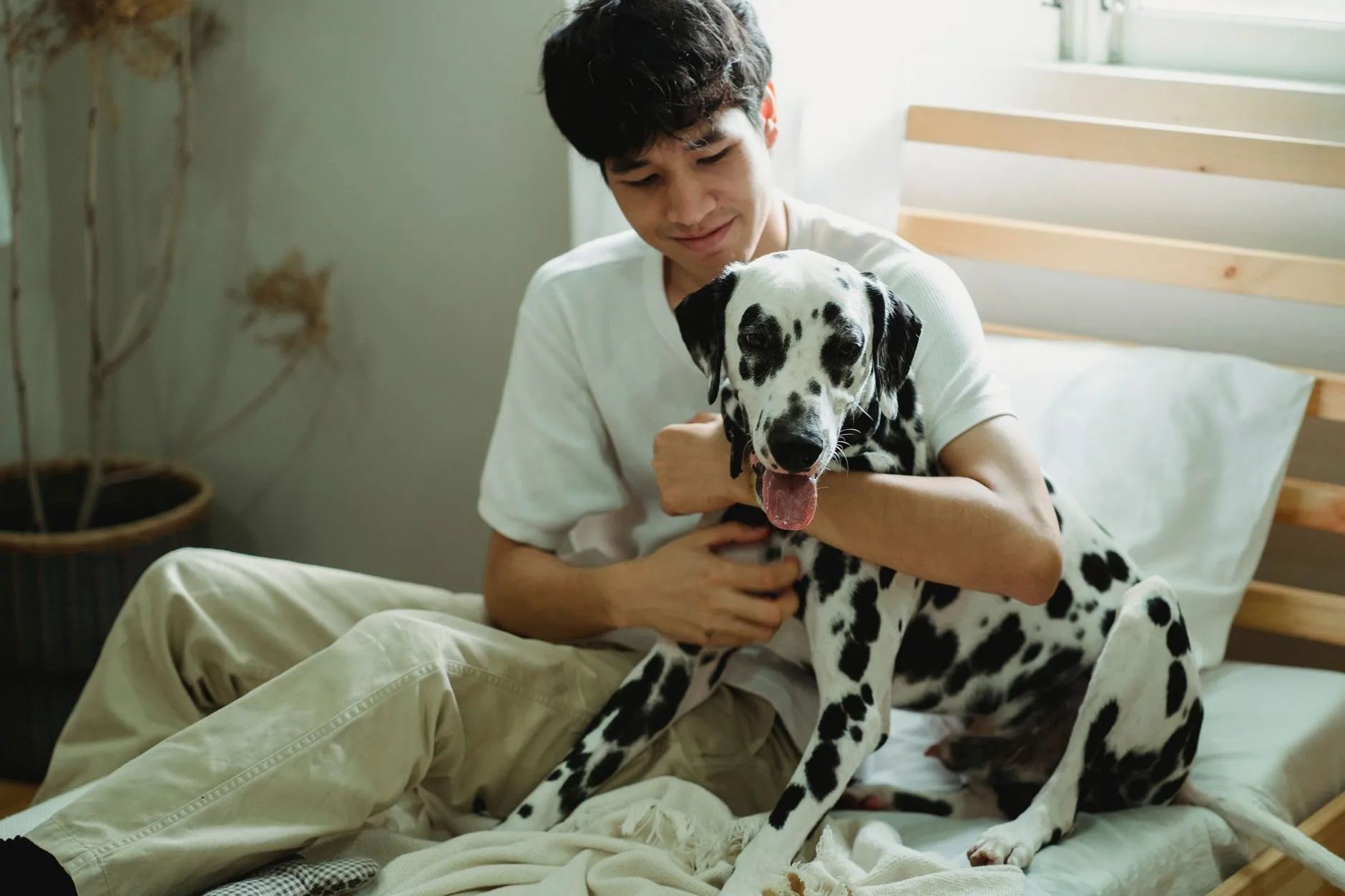 cách chọn hạt cho mèo
