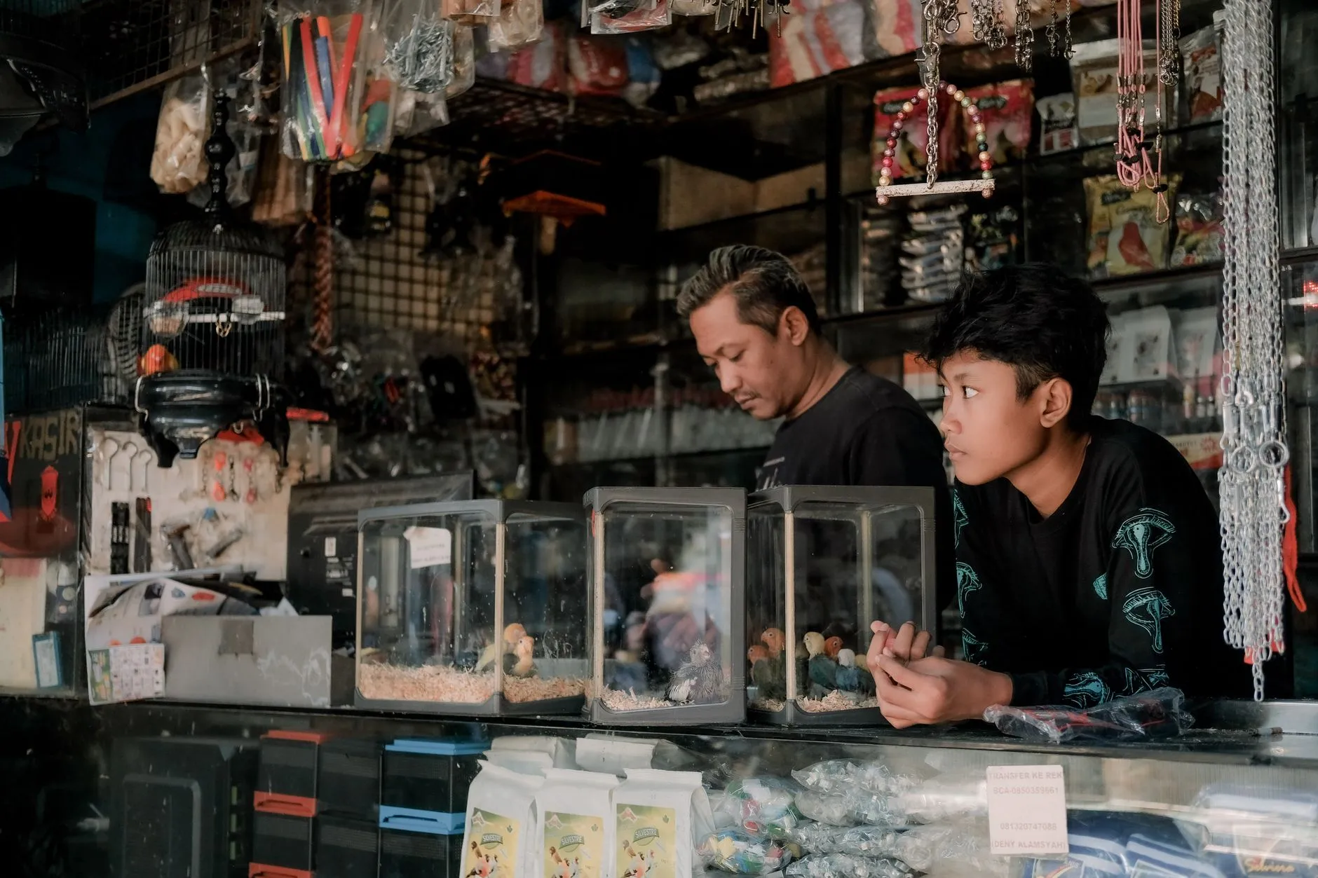 chó biếng ăn phải làm sao