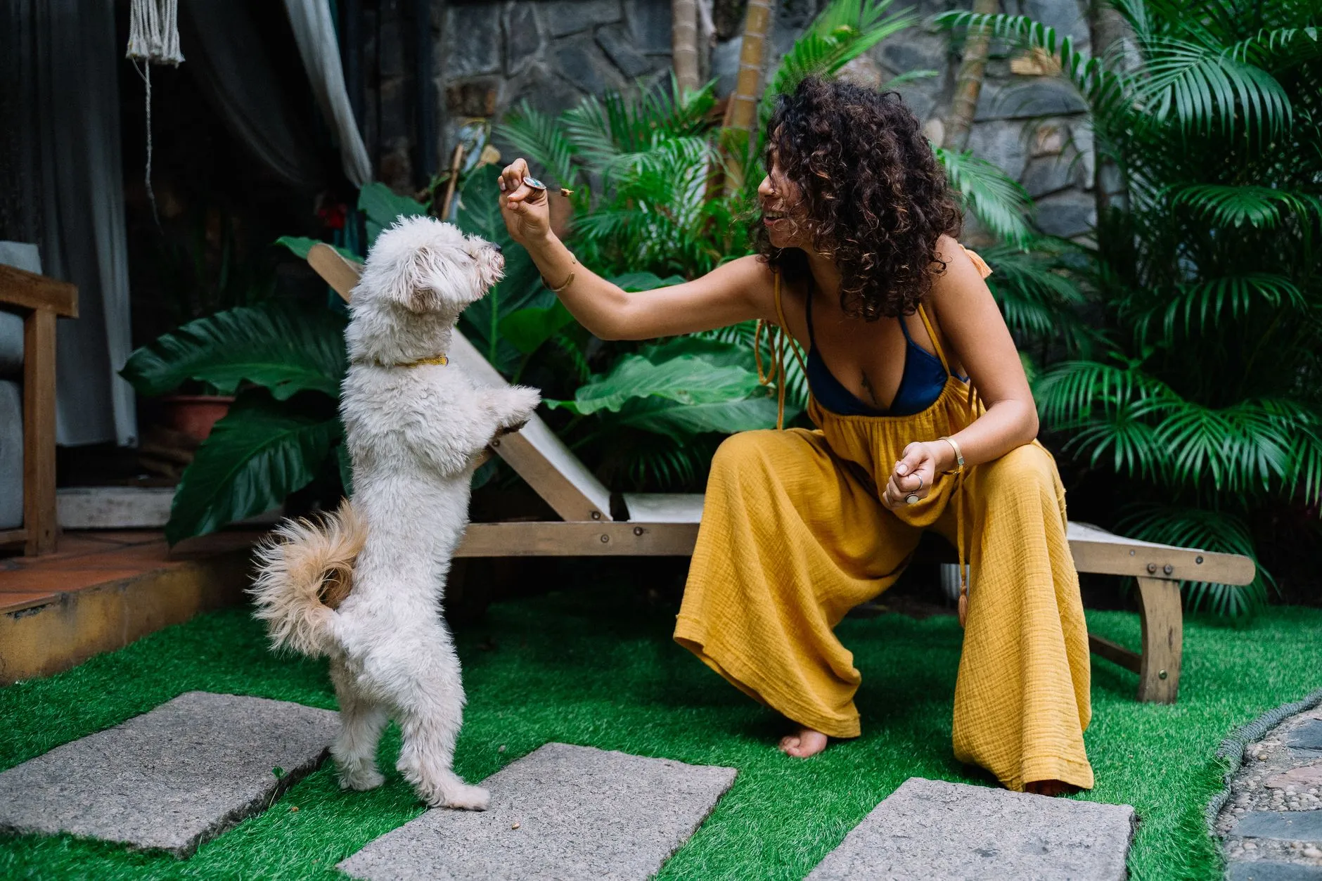 dưỡng lông cho poodle