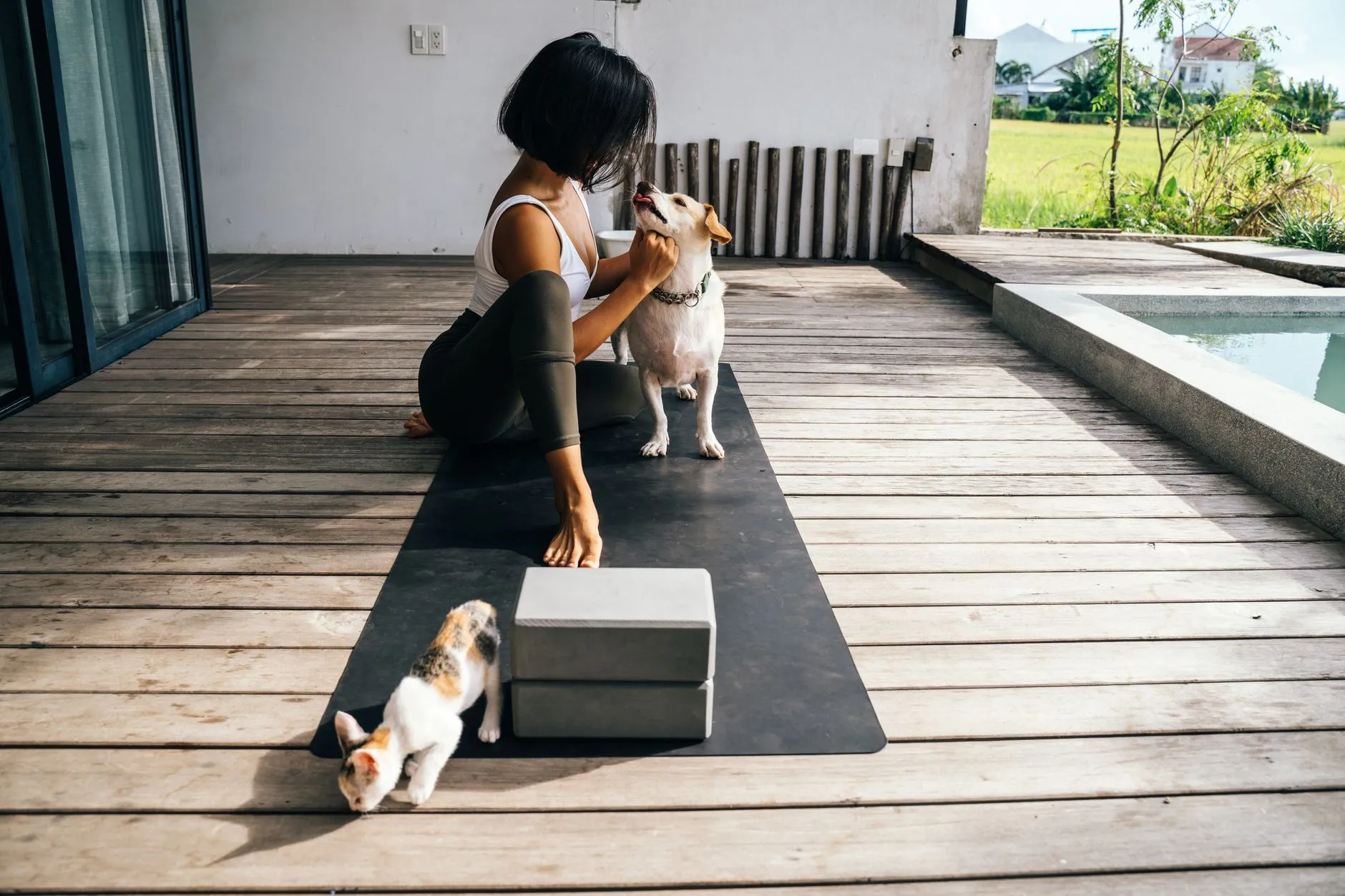 cách phòng ngừa bệnh care và pravo ở chó