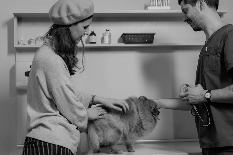 Cách giảm mùi hôi phân chó mèo - Hướng dẫn chăm sóc thú cưng khoa học Ecopets